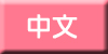 中文