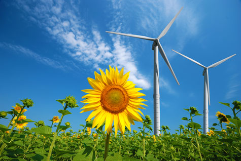 風力發電機、藍天與太陽花（向日葵）